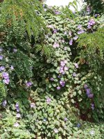 IMG_20210701_144514.jpg
