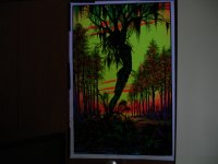 DSC00022.JPG