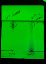 Separation-of-DMT-in-Acacia-tortilis-leaves-extract-by-TLC.png