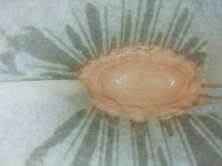 IMG_20211013_093857.jpg