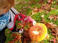 IMG_20211024_131834_HDR.jpg