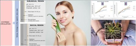 zzz+sublingual+mucosa+under+tongue+only+100+to+200um+thick.JPG
