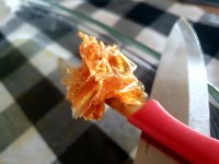waxy.jpg