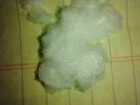 IMG_20220131_085327382.jpg
