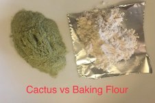 Cactus+vs+Baking+Flour.jpg