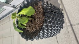 20220327_102414.jpg