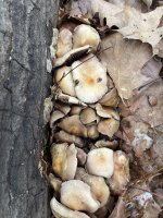 IMG_0742.jpg