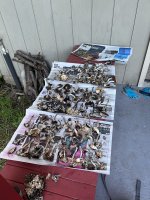 IMG_0748.jpg