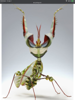 3D5214A0-DA19-4514-A393-097C9CF541D9.png