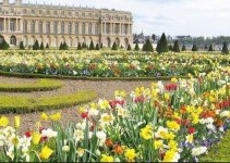 300mg+pure+thh+showed+me+gardens+at+Versailles%2C+France.JPG