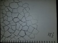 20220912_204646.jpg