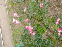 IMG_20220927_112753880_MP.jpg