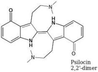 Psilocin+2%2C2+dimer.jpg