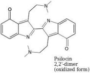 Psilocin+2%2C2+dimer+oxidized.jpg