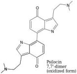 Psilocin+7%2C7+dimer+oxidized.jpg