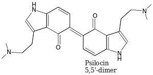 Psilocin+5%2C5+dimer.jpg