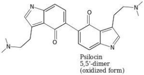 Psilocin+5%2C5+dimer+oxidized.jpg