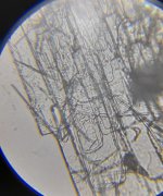 20230115_150348.jpg