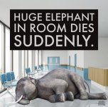 elephant+in+room+suddenly+dies_m.jpg