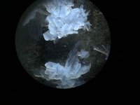 IMG_0286.jpg