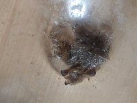 IMG_20230901_101822.jpg