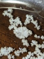dendritic+xtals.jpg