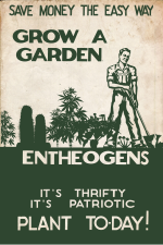 EntheogenGarden4X6.png