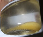 DMT-citrate_in_EA.jpg