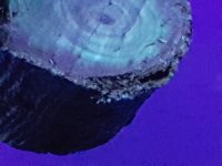 20231205_013413.jpg