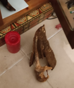 Screenshot 2023-11-04 152638.png