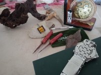 IMG_20201029_091639_1 (1).jpg