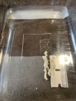 IMG_5896.jpeg IMG_5896.jpeg