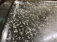 IMG_5271.jpeg IMG_5271.jpeg