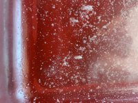 IMG_4843.jpeg IMG_4843.jpeg