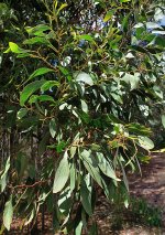 20240207_135437.jpg 20240207_135437.jpg