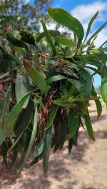 20240207_135451.jpg 20240207_135451.jpg