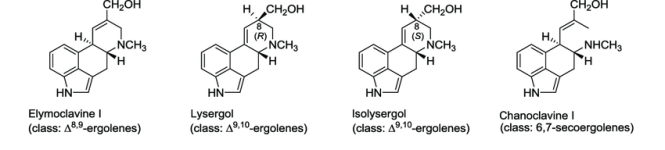 Structures-exemplifying-clavine-alkaloids-and-6-7-secoergolenes-Figure-taken-from-EFSA.png