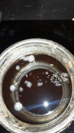 WhatsApp Image 2024-03-04 at 19.57.47_247178d4.jpg