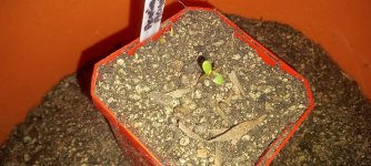 17096759051865376635093842523821.jpg 17096759051865376635093842523821.jpg