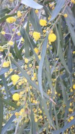 20240315_152953.jpg 20240315_152953.jpg