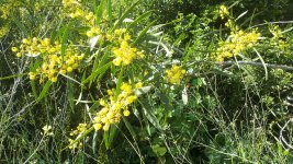 20240315_152458.jpg 20240315_152458.jpg