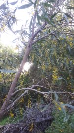 20240315_152712.jpg 20240315_152712.jpg