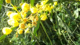 20240315_152508.jpg 20240315_152508.jpg