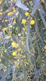 20240315_152947.jpg 20240315_152947.jpg