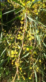 20240315_152850.jpg 20240315_152850.jpg