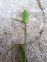 WhatsApp Image 2024-03-27 at 5.27.22 PM.jpeg WhatsApp Image 2024-03-27 at 5.27.22 PM.jpeg