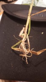 WhatsApp Image 2024-04-01 at 5.56.06 PM (3).jpeg WhatsApp Image 2024-04-01 at 5.56.06 PM (3).jpeg