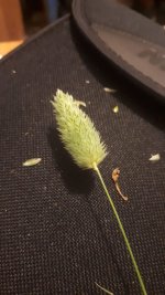 WhatsApp Image 2024-04-01 at 5.56.06 PM (2).jpeg WhatsApp Image 2024-04-01 at 5.56.06 PM (2).jpeg