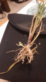 WhatsApp Image 2024-04-01 at 5.56.06 PM (1).jpeg WhatsApp Image 2024-04-01 at 5.56.06 PM (1).jpeg