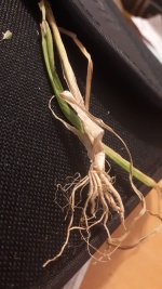 WhatsApp Image 2024-04-01 at 5.56.05 PM.jpeg WhatsApp Image 2024-04-01 at 5.56.05 PM.jpeg